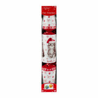 Christmas Cracker for Cats and Dogs